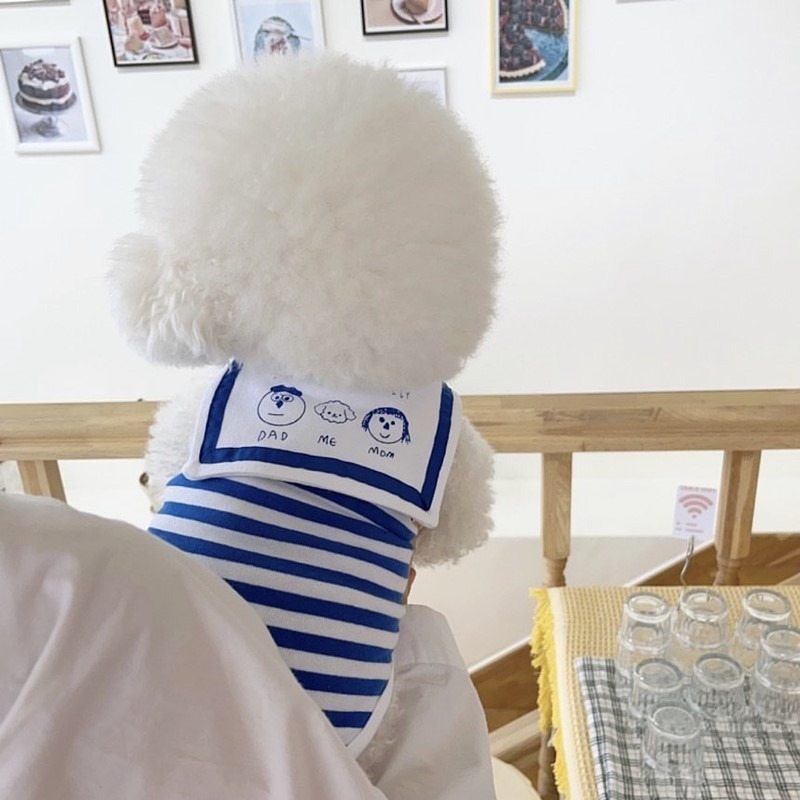 寵物背心夏天泰迪比熊博美約克夏雪納瑞貴賓貓咪狗狗衣服夏季薄款-規格圖6