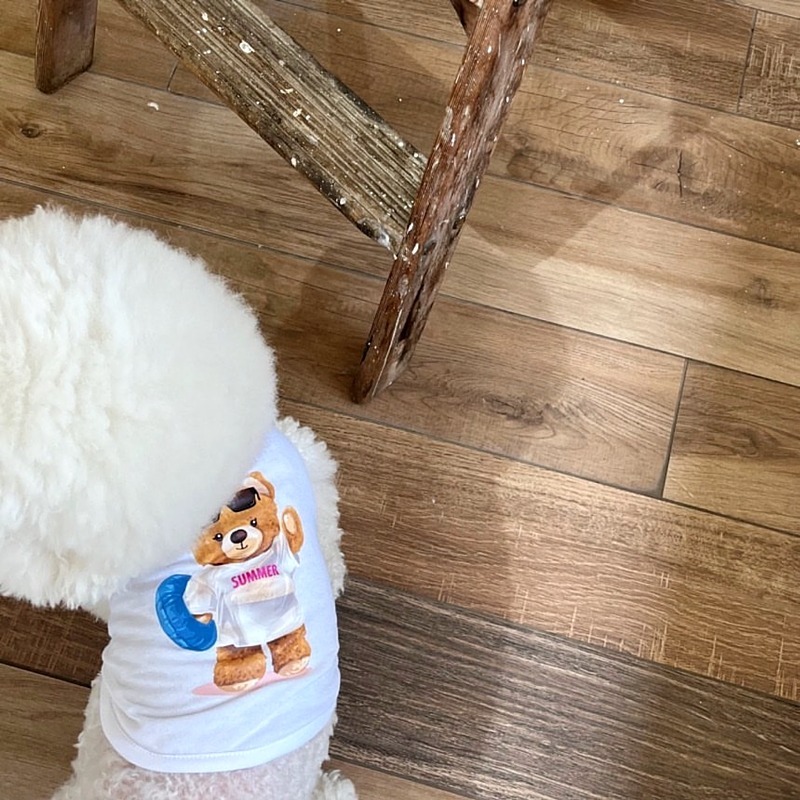夏季吊帶小狗狗衣服夏天薄款泰迪比熊雪納瑞寵物小型幼犬博美背心-規格圖5