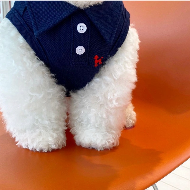 狗狗衣服夏天背心小型幼犬夏季泰迪比熊宠物猫咪博美贵宾春夏薄款-規格圖4