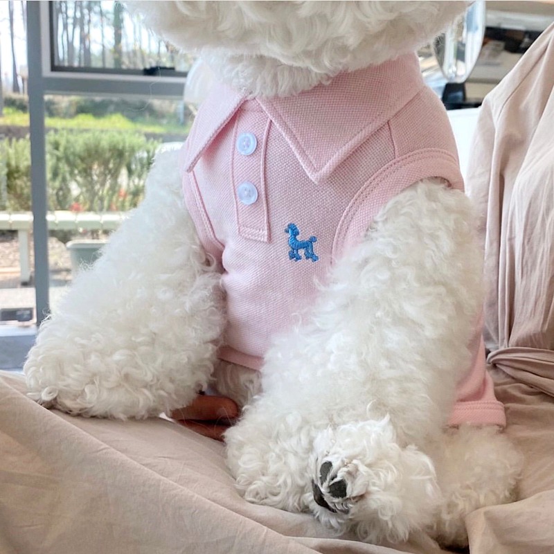 狗狗衣服夏天背心小型幼犬夏季泰迪比熊宠物猫咪博美贵宾春夏薄款-規格圖4