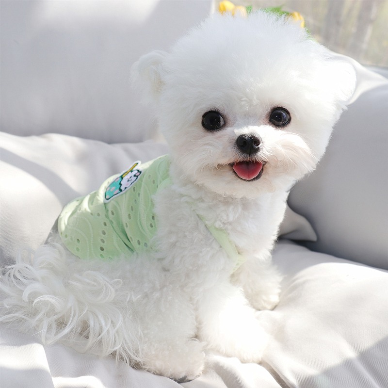 花邊貼布背心小狗狗衣服夏天雪納瑞小型幼犬比熊泰迪寵物夏季薄款-細節圖3