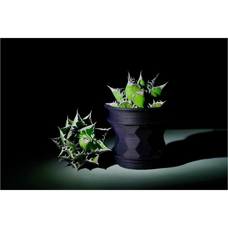 Asimocrafts 花盆 10CM/13CM【好勢露營】戶外擺設金屬植栽盆器 可拆底 露營裝飾 職人風格 a_pot-細節圖5