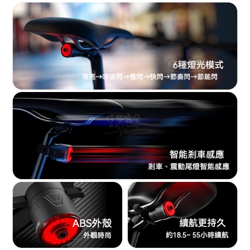 BLACKDOG 黑狗 追光自行車尾燈 智能感應刹車燈【好勢露營】單車腳踏車 感應車尾燈 USB充電警示尾燈公路車騎行燈-細節圖8