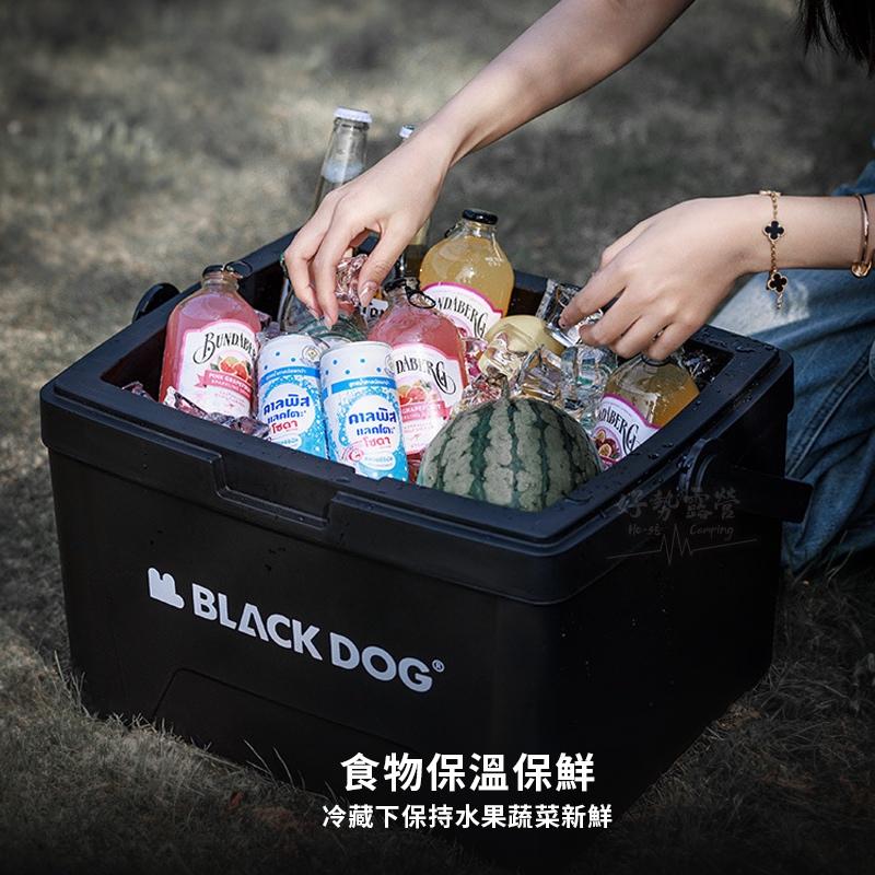 BLACKDOG 黑狗 冰島保冰箱5L/13L/25L【好勢露營】露營冰箱 釣魚冰桶 戶外保冰桶-細節圖4