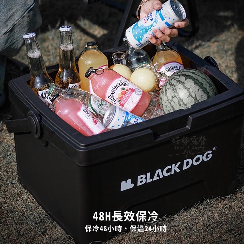 BLACKDOG 黑狗 冰島保冰箱13L/5L【好勢露營】露營冰箱 釣魚冰桶 戶外冰桶 野餐 保冷保冰桶 迷你保冰箱-細節圖7
