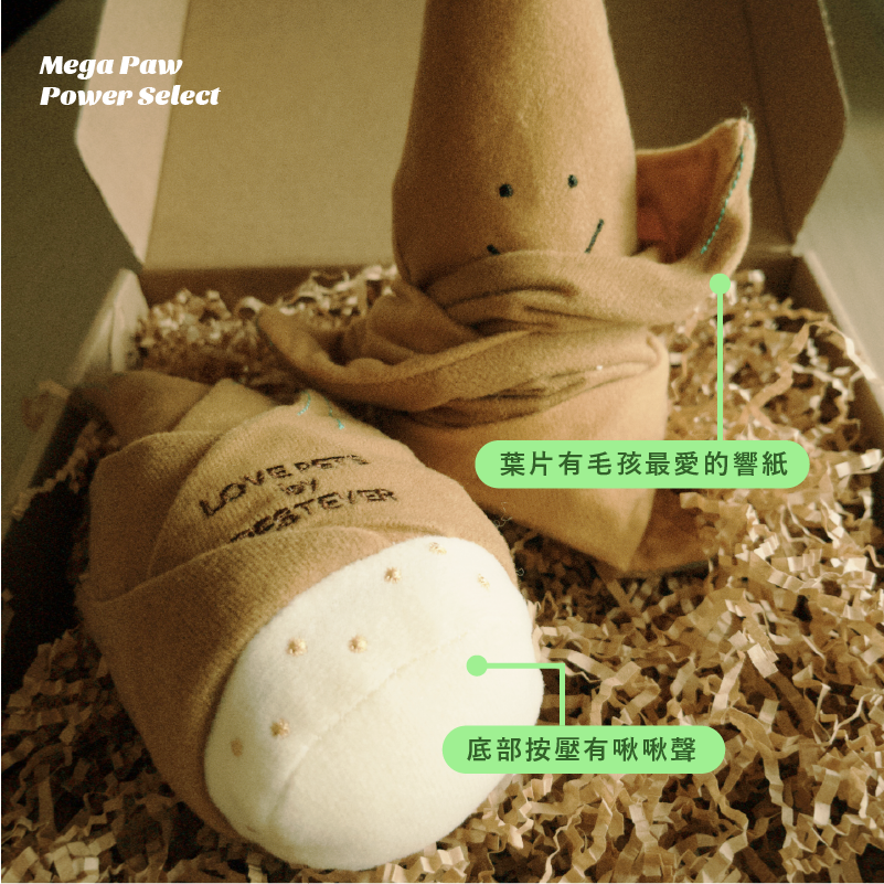 【🇯🇵LOVE PETS by BESTEVER】響紙啾啾聲藏食竹筍 🍠-細節圖2