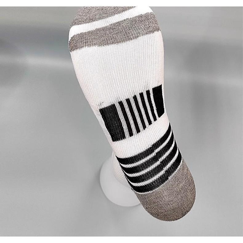 現貨供應<樂勝Let＇s win> DONIC專業乒乓球襪 桌球襪 減震防滑耐磨透氣-細節圖6