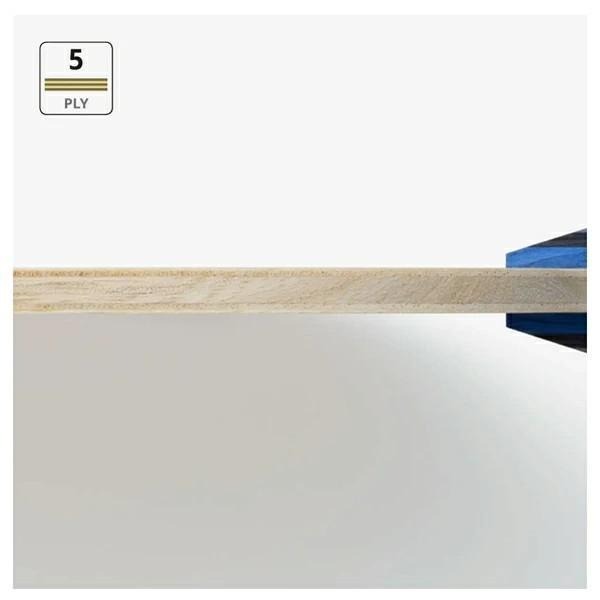 <樂勝Let＇s win> BUTTERFLY FALCIMA 桌球拍 日本製 純木五夾法西馬 初學者強力推薦-細節圖3