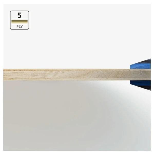 <樂勝Let＇s win> BUTTERFLY FALCIMA 桌球拍 日本製 純木五夾法西馬 初學者強力推薦-細節圖3