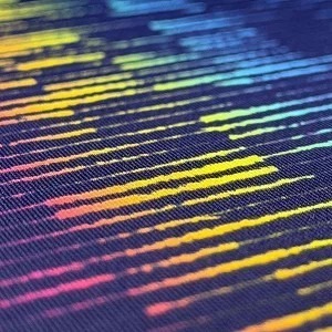 <樂勝Let＇s win> BUTTERFLY 蝴蝶桌球衣 乒乓球衣 吸濕排汗 2026新款 MIJ-細節圖6