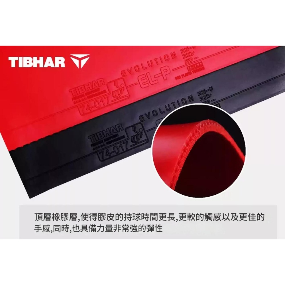 <樂勝Let＇s win>現貨 Tibhar elp 膠皮 內能膠皮 德套中的全能王 德國製-細節圖4