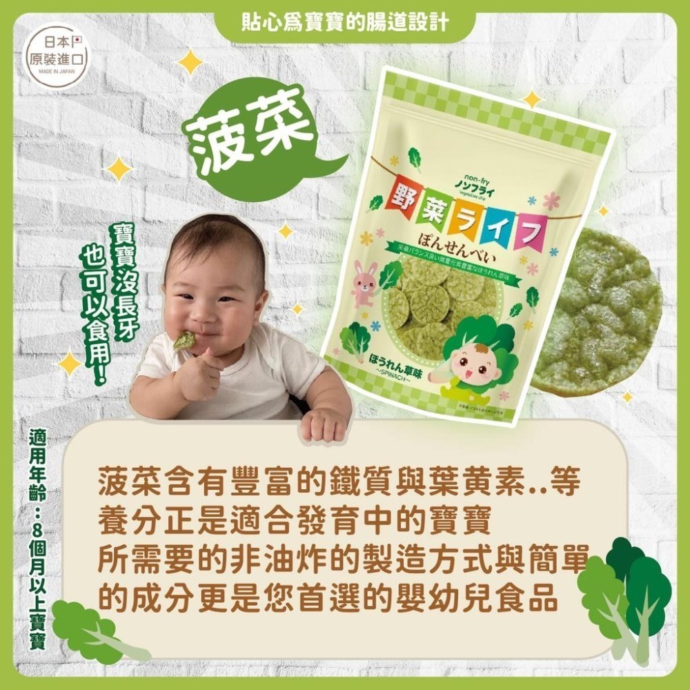 💗💗小姐姐日本零食💗💗 日本小孩吃的仙貝 來自愛知縣 無添加人工香料 寶寶食堂 玉米番茄 菠菜 紫薯-細節圖2