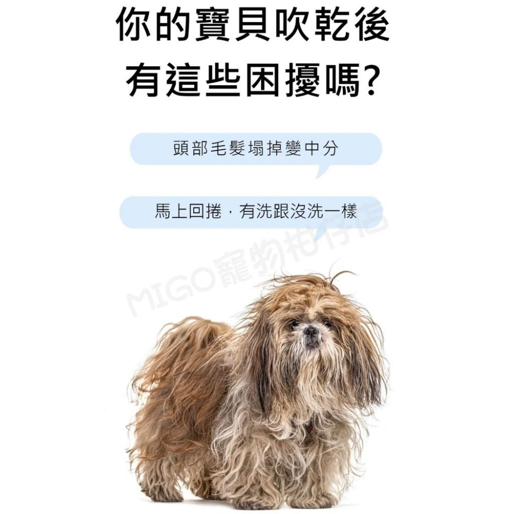 【MIGO寵物柑仔店】 新升級 水魔素 寵物用 洗毛精 犬 貓 白麝香 小蒼蘭 薰衣草 柔亮蓬鬆 保濕 除臭 驅蟲-細節圖4