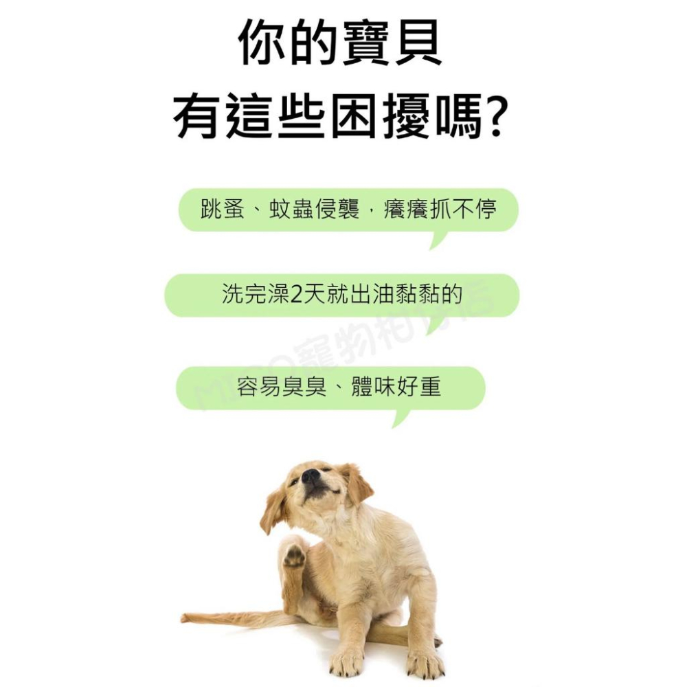 【MIGO寵物柑仔店】 新升級 水魔素 寵物用 洗毛精 犬 貓 白麝香 小蒼蘭 薰衣草 柔亮蓬鬆 保濕 除臭 驅蟲-細節圖5