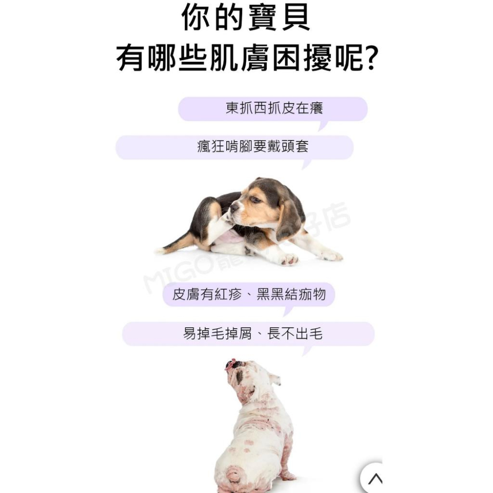 【MIGO寵物柑仔店】 新升級 水魔素 寵物用 洗毛精 犬 貓 白麝香 小蒼蘭 薰衣草 柔亮蓬鬆 保濕 除臭 驅蟲-細節圖6