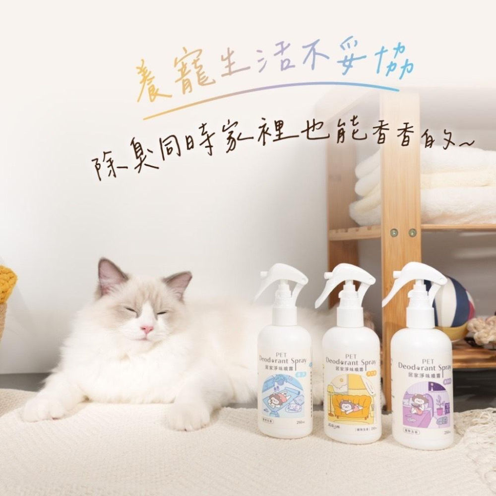 【MIGO寵物柑仔店】寵物友善香氛 超凝小姐 居家淨味噴霧 250ML 消臭 香氛 除異味 無香 花香調 木質調-細節圖2