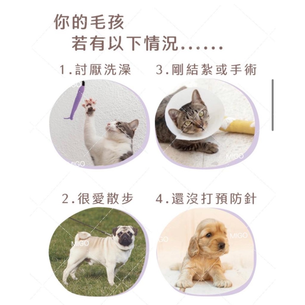 【MIGO寵物柑仔店】TENDER 天生溫柔 寵物安撫乾洗潔淨噴霧150ml 洗毛精 沐浴噴霧 乾洗粉 犬貓可用-細節圖2