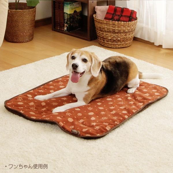 【MIGO寵物柑仔店】Iris 秋收舒適毯 M號 60*80CM 寵物睡墊 寵物保暖-細節圖4