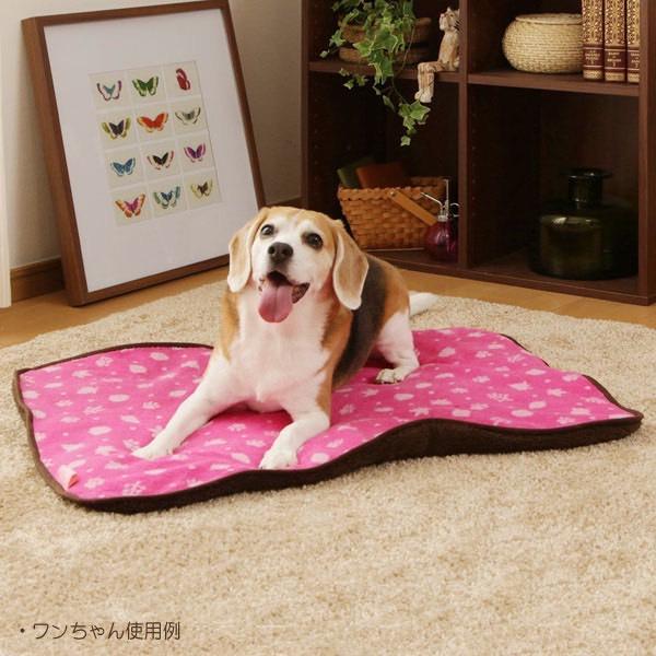 【MIGO寵物柑仔店】Iris 秋收舒適毯 M號 60*80CM 寵物睡墊 寵物保暖-細節圖5