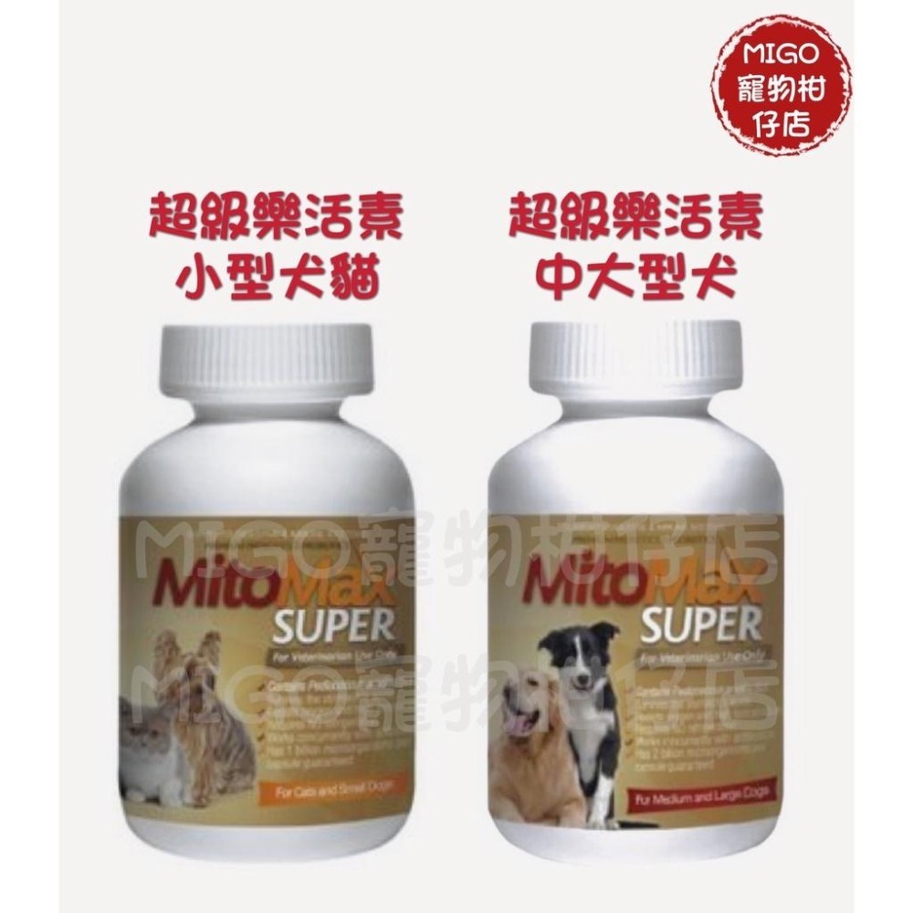 【MIGO寵物柑仔店】專利二代菌 Mitomax Super 超級樂活素 小型犬貓 中大型犬 30顆 90顆 益生菌
