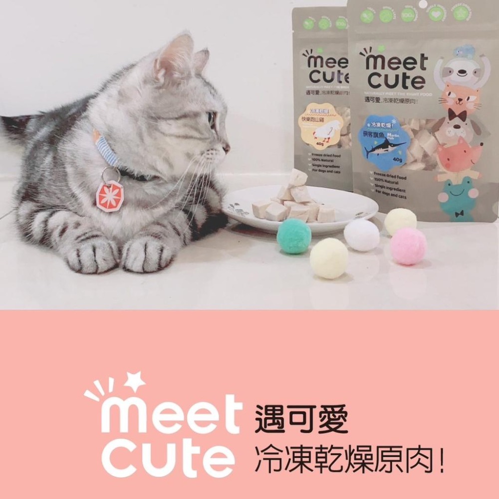 【MIGO寵物柑仔店】遇可愛 MEET CUTE 冷凍乾燥原肉 犬貓凍乾 貓零食 狗零食 寵物凍乾 凍乾零食 寵物零食-細節圖4