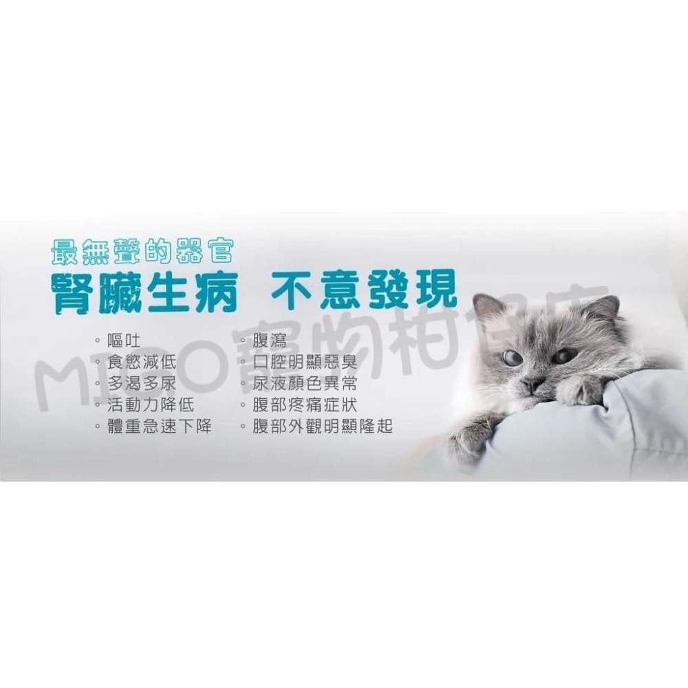 【免運】賽恩威特  官方授權 scienvet 腎活碳 30粒 120粒 腎臟保健 犬貓適用 活腎炭-細節圖2