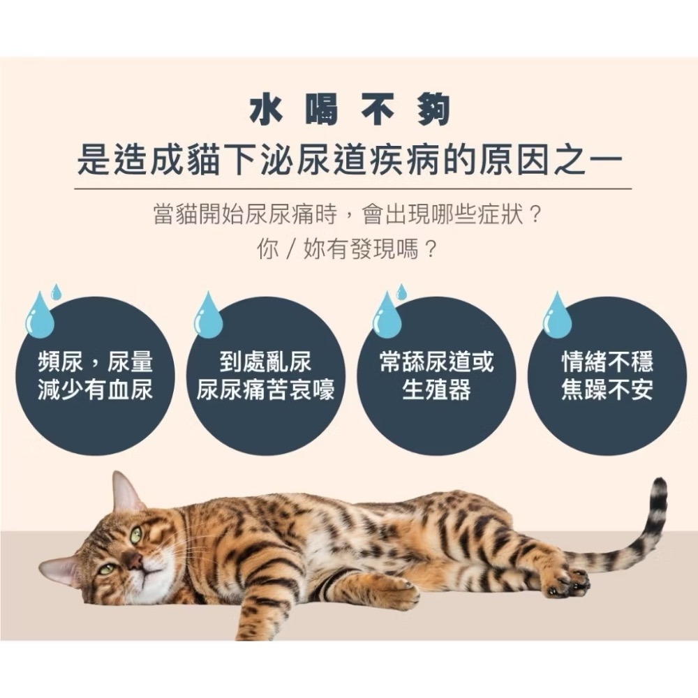 KATTOVIT 康特維 貓 腎臟保健 泌尿道保健 肉汁罐 腎臟 胃腸 術後 貓罐 水分補充 餐包 肉泥 奶霜肉泥條-細節圖7