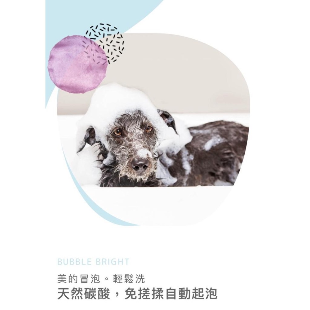 【MIGO寵物柑仔店】盟郡 Bubble Bright 美的冒泡 輕鬆洗 500ML 寵物 碳酸 洗毛精 犬貓用 貓 狗-細節圖2