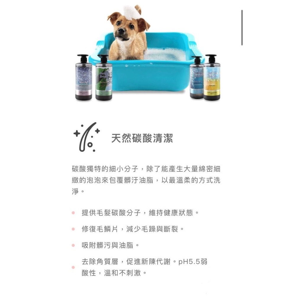 【MIGO寵物柑仔店】盟郡 Bubble Bright 美的冒泡 輕鬆洗 500ML 寵物 碳酸 洗毛精 犬貓用 貓 狗-細節圖3