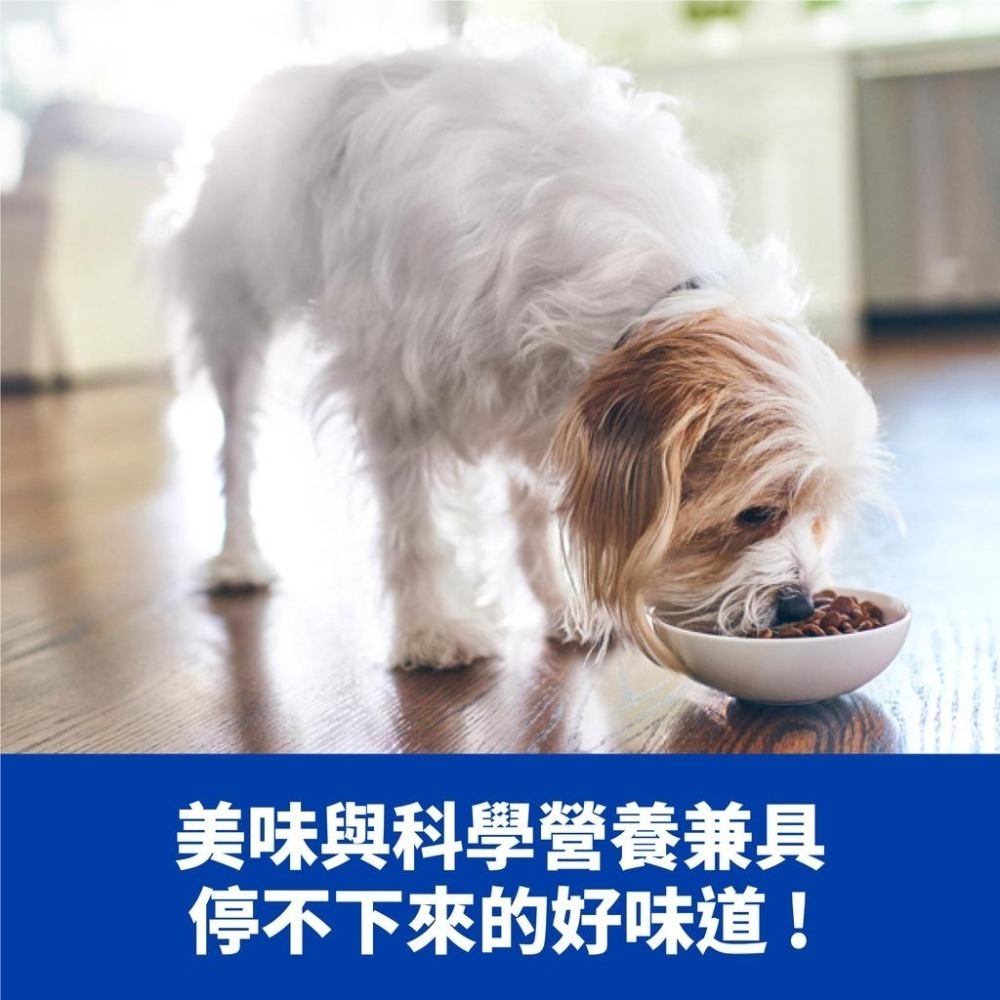 Hills 希爾思 a/d 重症護理罐頭 貓狗皆可 156g 5670 術後照護 高營養 重症 ICU-細節圖5