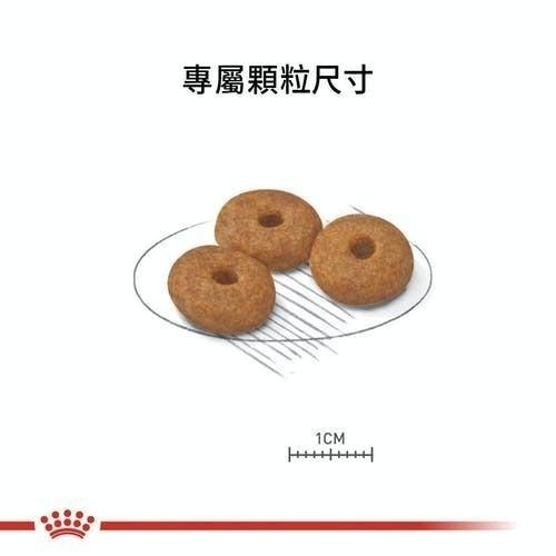 【預購】【MIGO寵物柑仔店】ROYAL CANIN 法國皇家 小型室內幼犬 成犬 熟齡犬 8+ 1.5KG 小型老犬-細節圖2