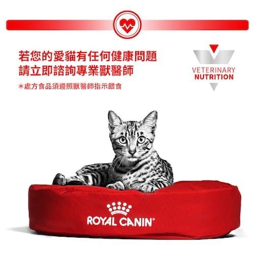 【MIGO寵物柑仔店】RoyalCanin 法國皇家 貓咪 sc27w  濕糧-雞肉85g sc27-細節圖3