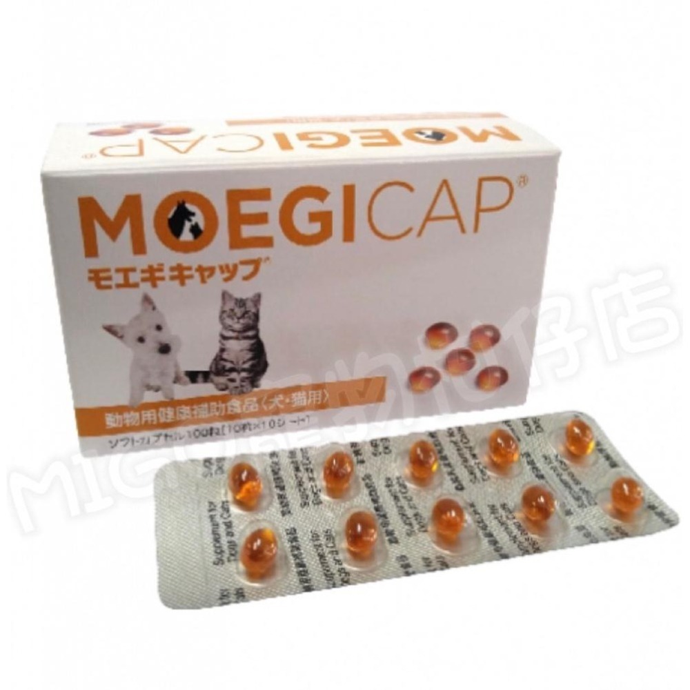 【MIGO寵物柑仔店】日本共立製藥 貝節益 膠囊 100粒 綠貽貝/寵物關節保養 綠唇貽貝 關節-細節圖3