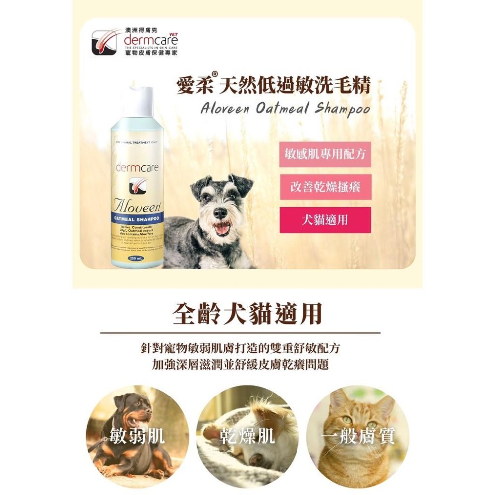 Dermcare 愛柔 燕麥蘆薈洗毛精 250ml 低敏洗毛精/犬用洗毛精/低過敏-細節圖2