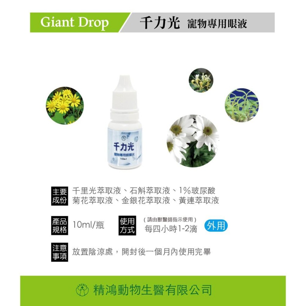 【MIGO寵物柑仔店】千力光 寵物專用 10ML-細節圖2