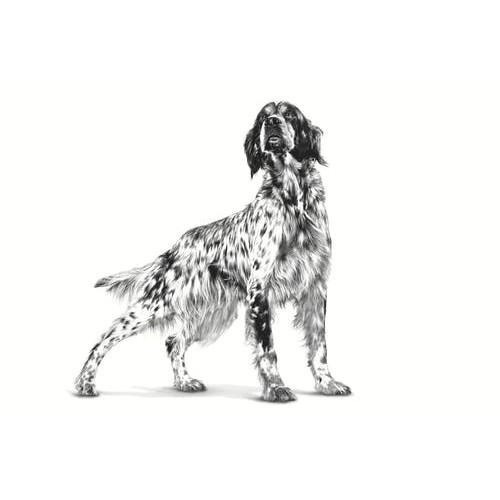 【預購】ROYAL CANIN法國皇家 LF22犬1.5KG LSD22小型犬 腸胃道低脂3.5KG  low fat-細節圖2