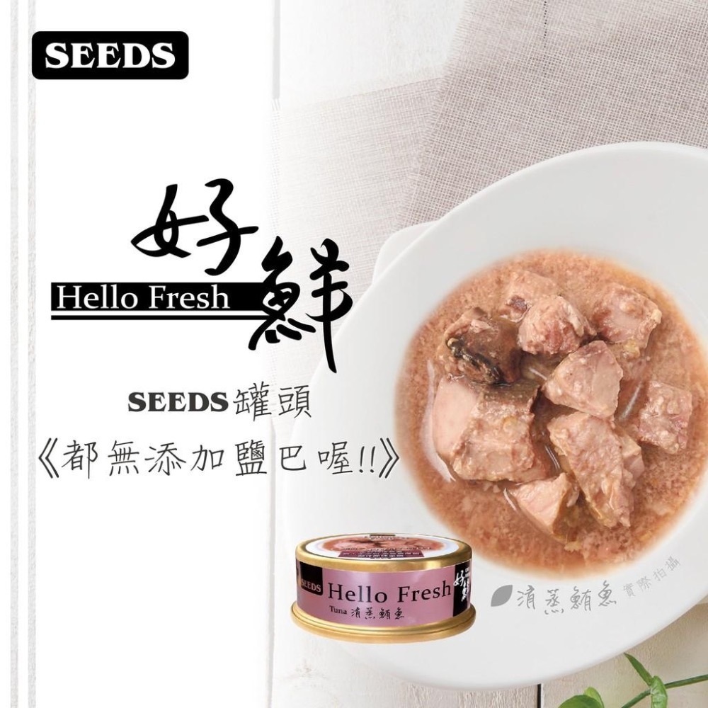 【一箱價！】seeds 聖萊西 惜時 好鮮 貓副食罐 50g 80g hello fresh-細節圖2