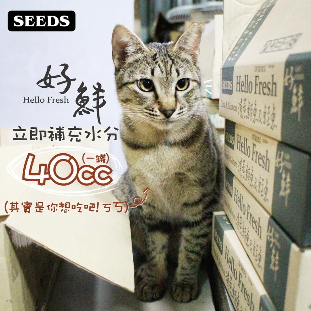 【一箱價！】seeds 聖萊西 惜時 好鮮 貓副食罐 50g 80g hello fresh-細節圖4