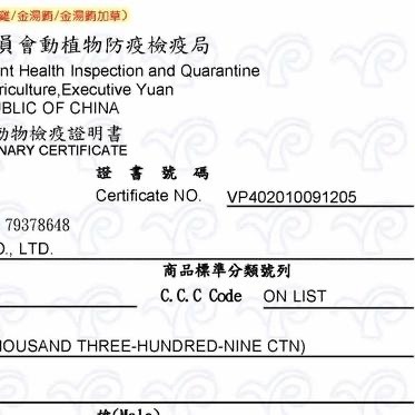 【一箱價！】seeds 聖萊西 惜時 好鮮 貓副食罐 50g 80g hello fresh-細節圖6