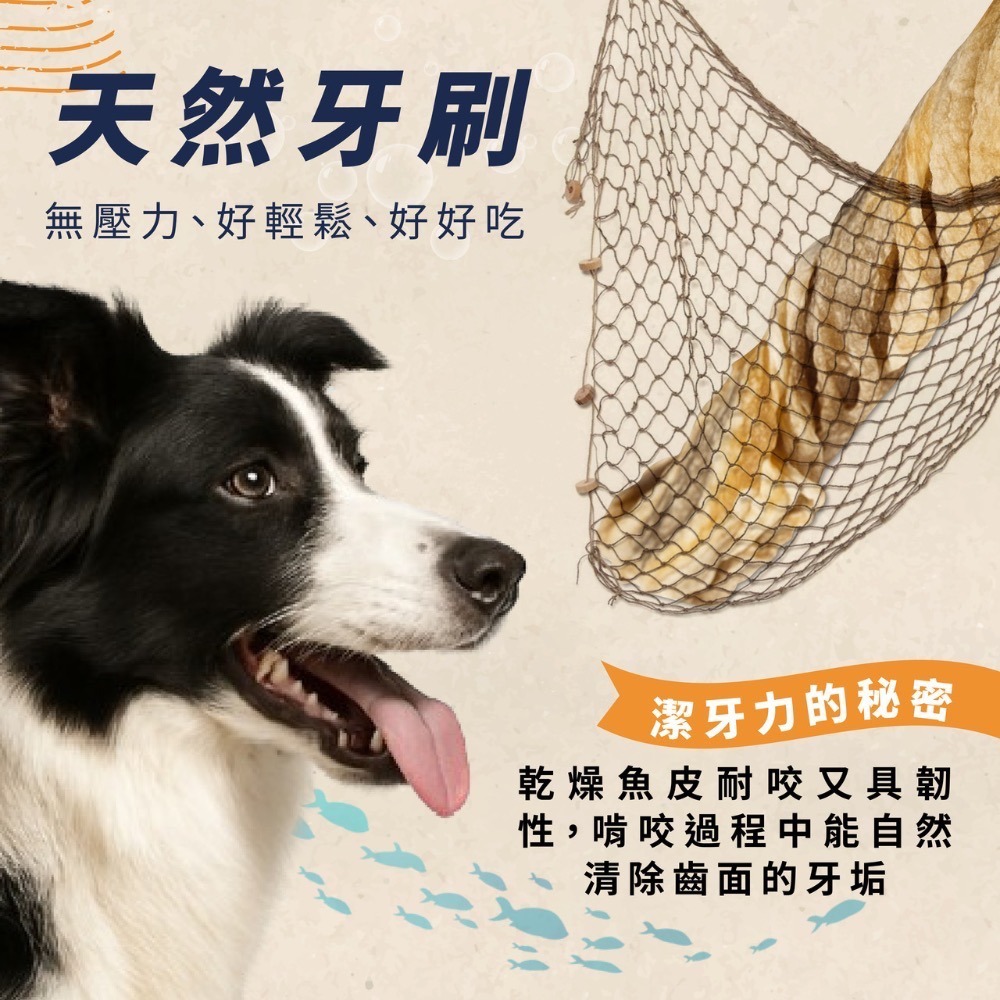 【MIGO寵物柑仔店】海夫默克HAVSMAK 挪威鱈魚魚皮捲 魚皮塊 魚皮片 營養棒 營養餅 北極甜蝦 耐咬 磨牙-細節圖3