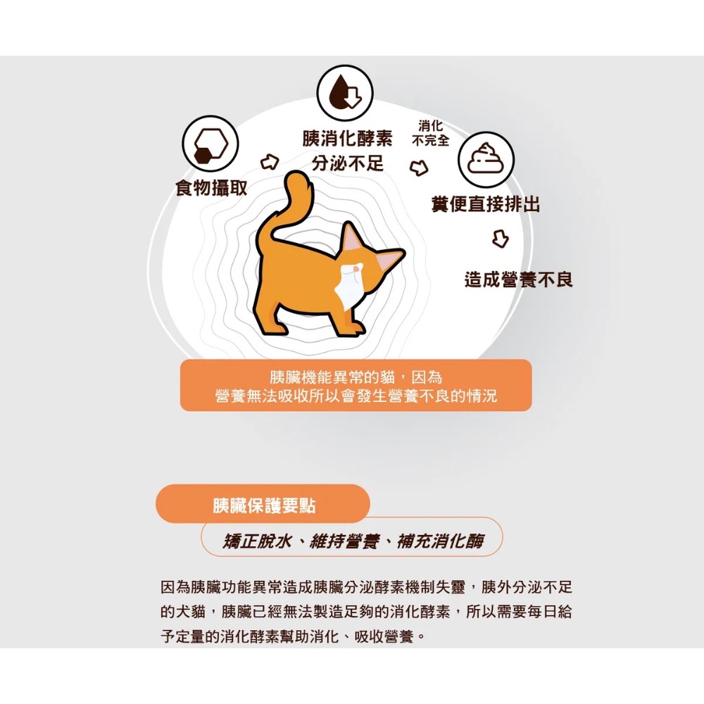 【MIGO寵物柑仔店】賽恩威特原廠公司貨 貓用胰寶 200顆 胰消化酵素 膠囊-細節圖2