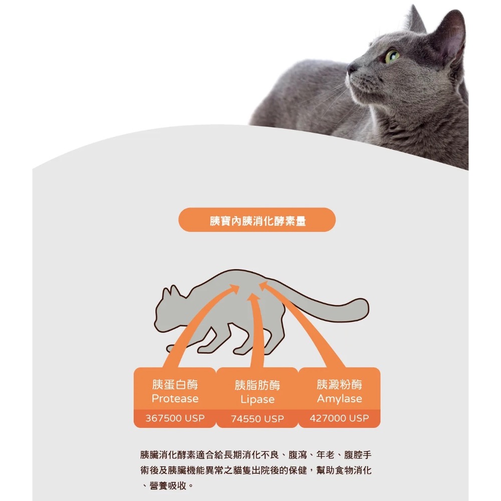 【MIGO寵物柑仔店】賽恩威特原廠公司貨 貓用胰寶 200顆 胰消化酵素 膠囊-細節圖3