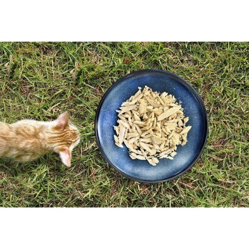 【MIGO寵物柑仔店】Baturu Kitchen 寵鮮灶腳手作肉乾 犬貓零食 雞菲力 櫻桃鴨 虱目魚柳 雞胸肉量販包-細節圖7