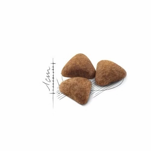 【預購】【MIGO寵物柑仔店】ROYAL CANIN 皇家 IN27 室內成貓 2KG-細節圖2