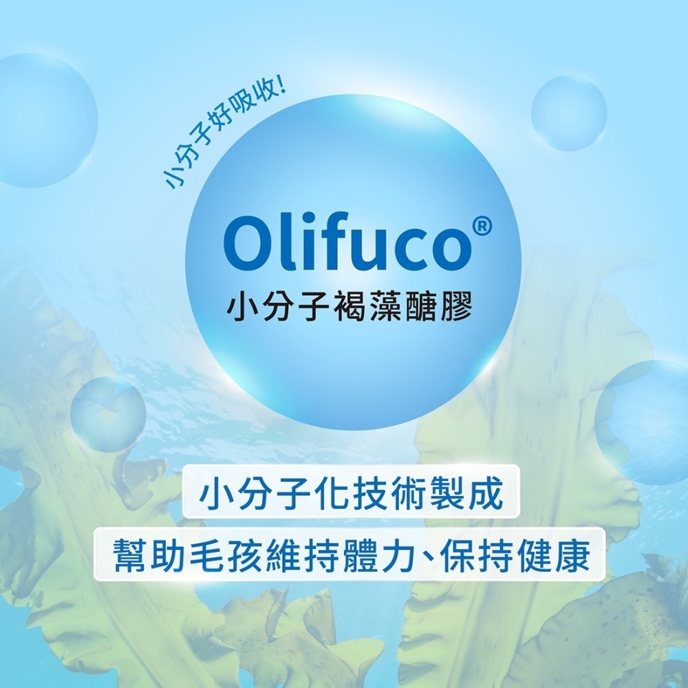 【買就送】中華海洋 Hi-Q 日常照護新上市 藻康留S/L 藻心沛S/L 皮膚凝膠 小分子褐藻醣膠 犬貓保健-細節圖4