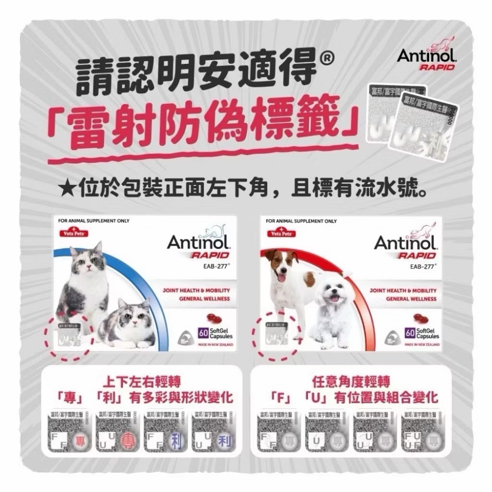 免運!!快速出貨【MIGO寵物柑仔店】Antinol 安適得 酷版 60錠 犬貓適用 綠唇貽貝 關節保養-細節圖2