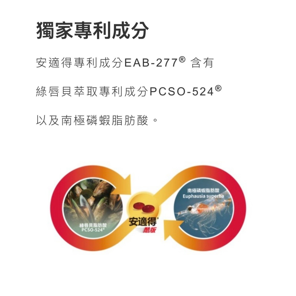 免運!!快速出貨【MIGO寵物柑仔店】Antinol 安適得 酷版 60錠 犬貓適用 綠唇貽貝 關節保養-細節圖3