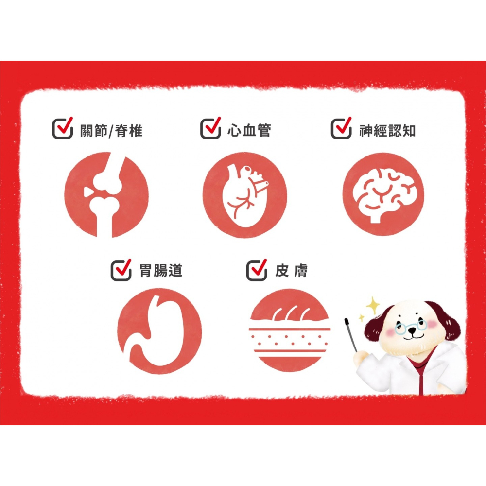 免運!!快速出貨【MIGO寵物柑仔店】Antinol 安適得 酷版 60錠 犬貓適用 綠唇貽貝 關節保養-細節圖4