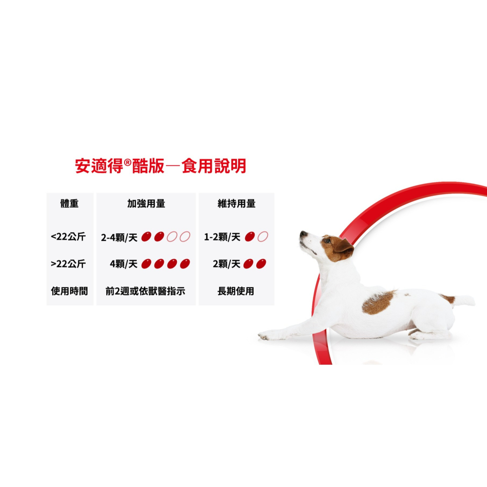 免運!!快速出貨【MIGO寵物柑仔店】Antinol 安適得 酷版 60錠 犬貓適用 綠唇貽貝 關節保養-細節圖5