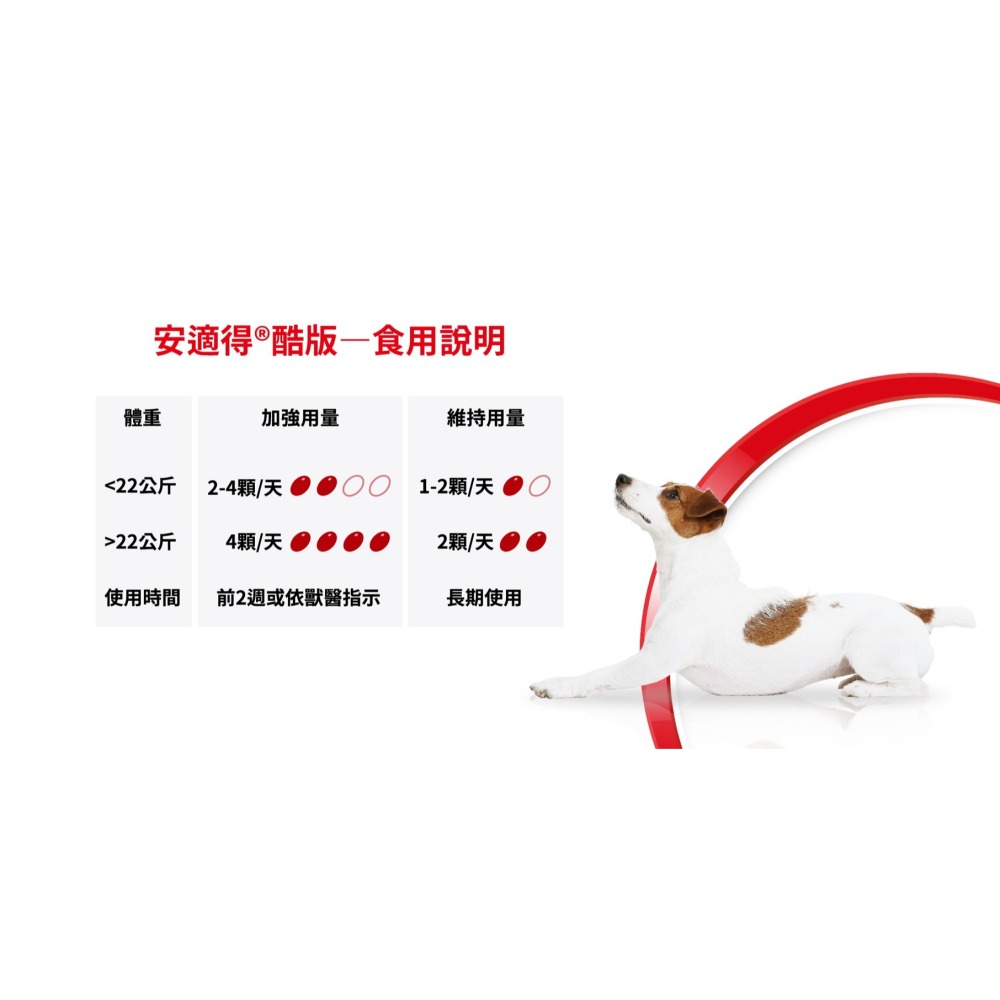 免運!!快速出貨【MIGO寵物柑仔店】Antinol 安適得 酷版 60錠 犬貓適用 綠唇貽貝 關節保養-細節圖4